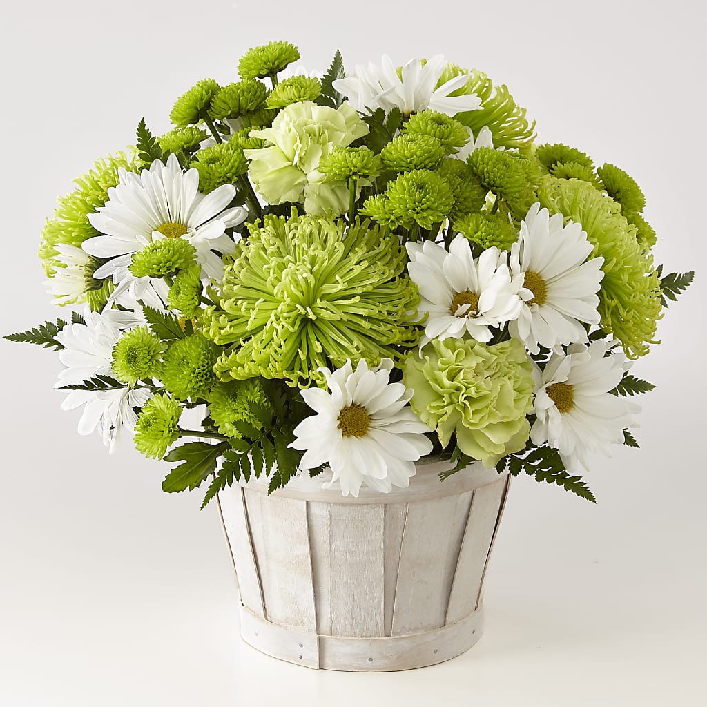 Lucky Charm Basket (Standard) – ENCHANTED FLORIST & GREENHOUSE LTD, Maspeth NY