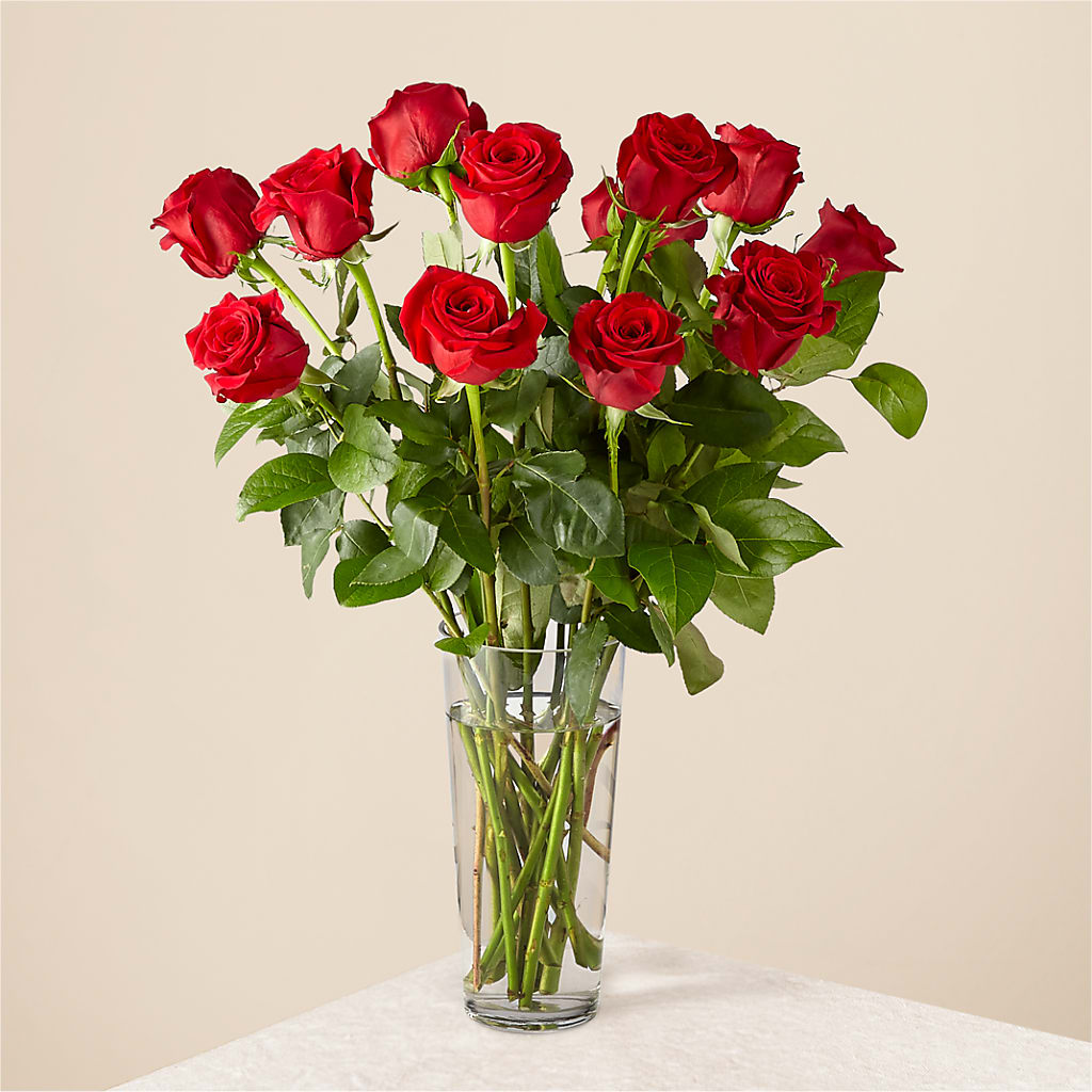 Long Stem Red Rose Bouquet – ENCHANTED FLORIST & GREENHOUSE LTD, Maspeth NY