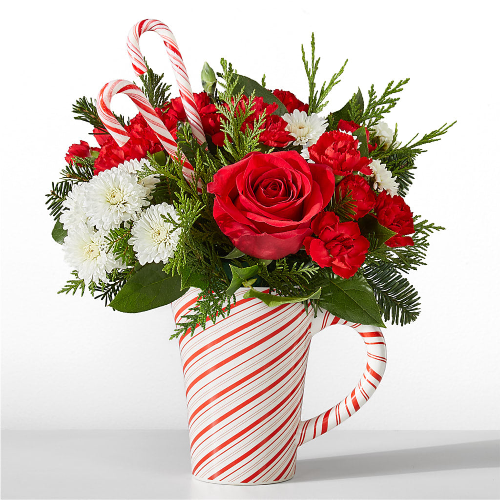 Peppermint Swirl Mug – ENCHANTED FLORIST & GREENHOUSE LTD, Maspeth NY