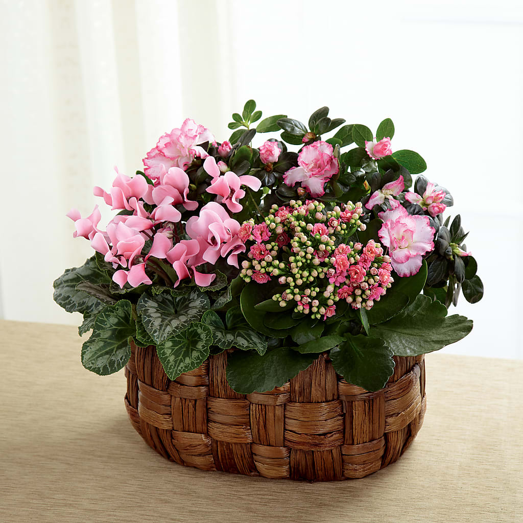 Pink Assortment – ENCHANTED FLORIST & GREENHOUSE LTD, Maspeth NY