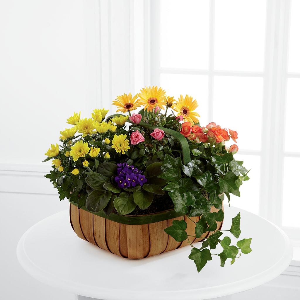 Gentle Blossoms Basket – ENCHANTED FLORIST & GREENHOUSE LTD, Maspeth NY