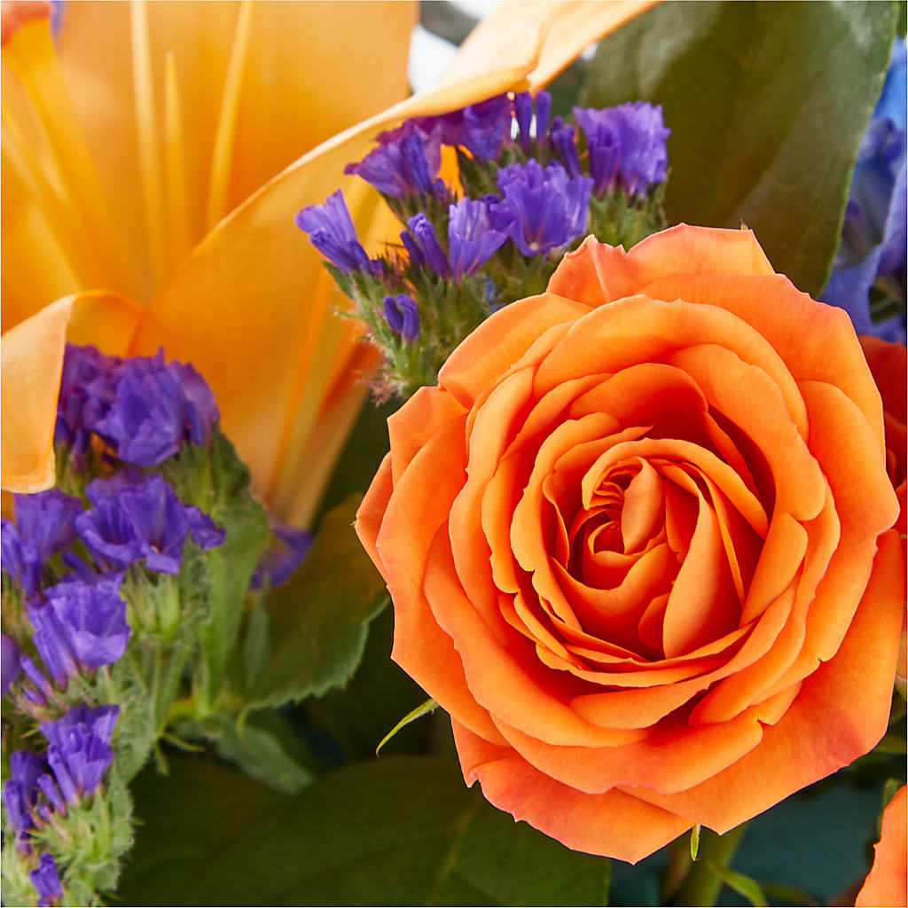Radiant Citrus Box Bouquet – ENCHANTED FLORIST & GREENHOUSE LTD, Maspeth NY