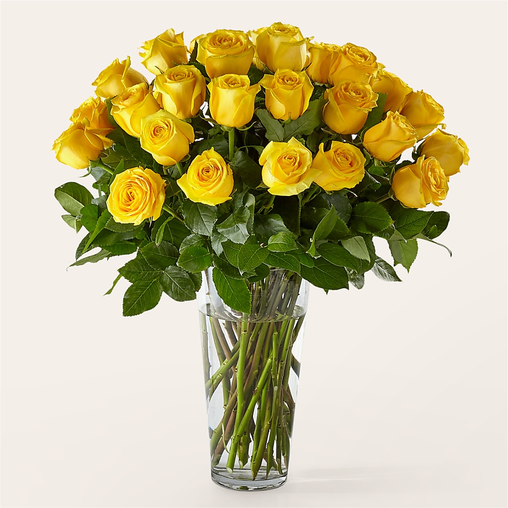 Long Stem Yellow Rose Bouquet – ENCHANTED FLORIST & GREENHOUSE LTD, Maspeth NY