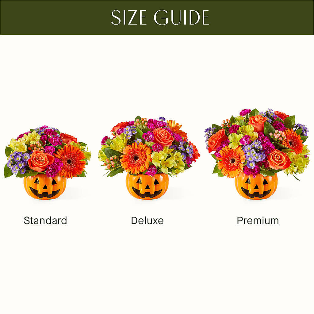 Tricks & Treats Pumpkin – ENCHANTED FLORIST & GREENHOUSE LTD, Maspeth NY