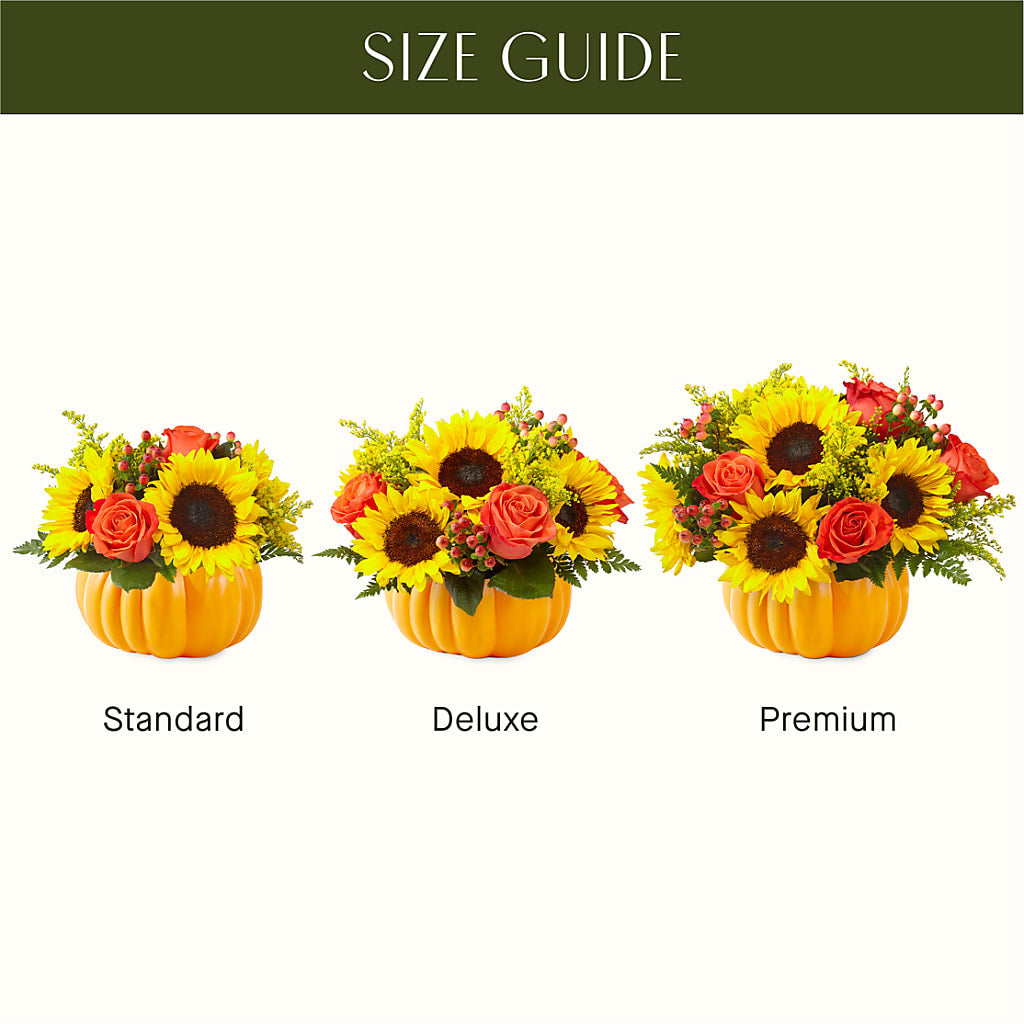 Pick of the Patch Pumpkin Bouquet – ENCHANTED FLORIST & GREENHOUSE LTD, Maspeth NY