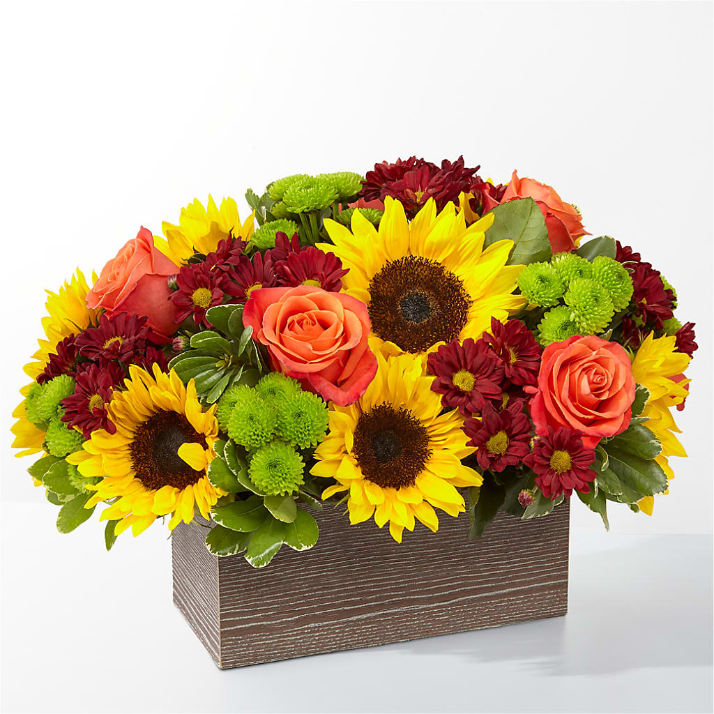 Happy Harvest Garden – ENCHANTED FLORIST & GREENHOUSE LTD, Maspeth NY