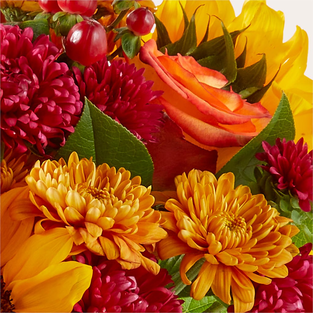 Sweater Season - A Florist Original – ENCHANTED FLORIST & GREENHOUSE LTD, Maspeth NY