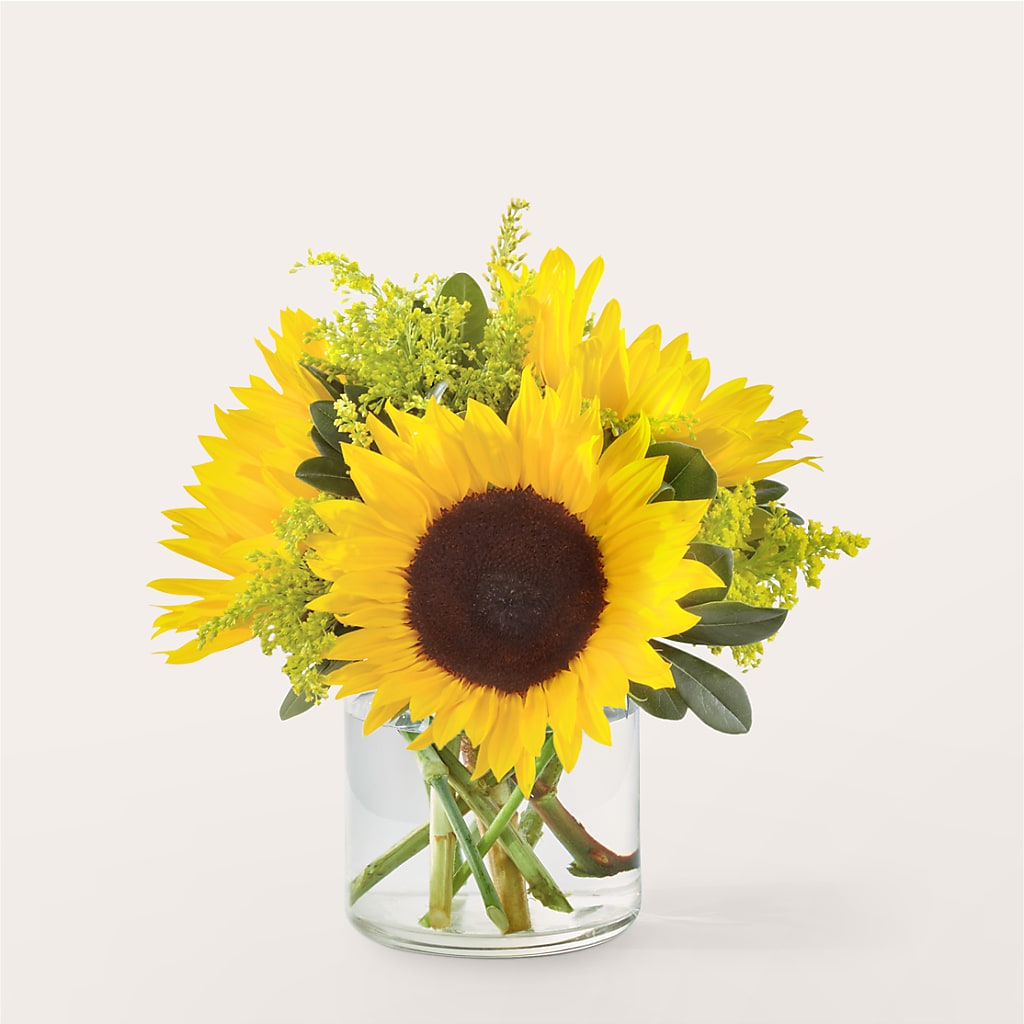 Beaming Sunflower Bouquet – ENCHANTED FLORIST & GREENHOUSE LTD, Maspeth NY