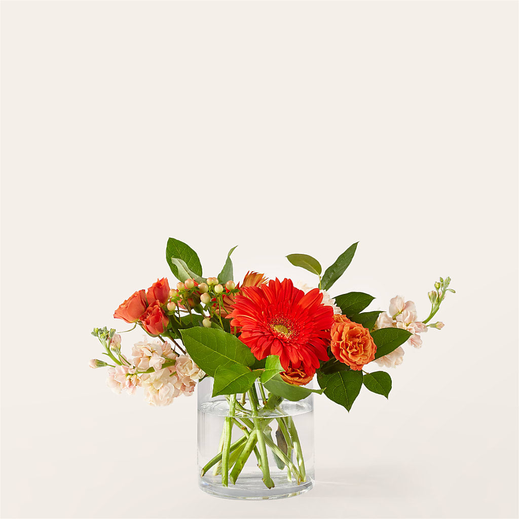 Paloma Please Bouquet – ENCHANTED FLORIST & GREENHOUSE LTD, Maspeth NY