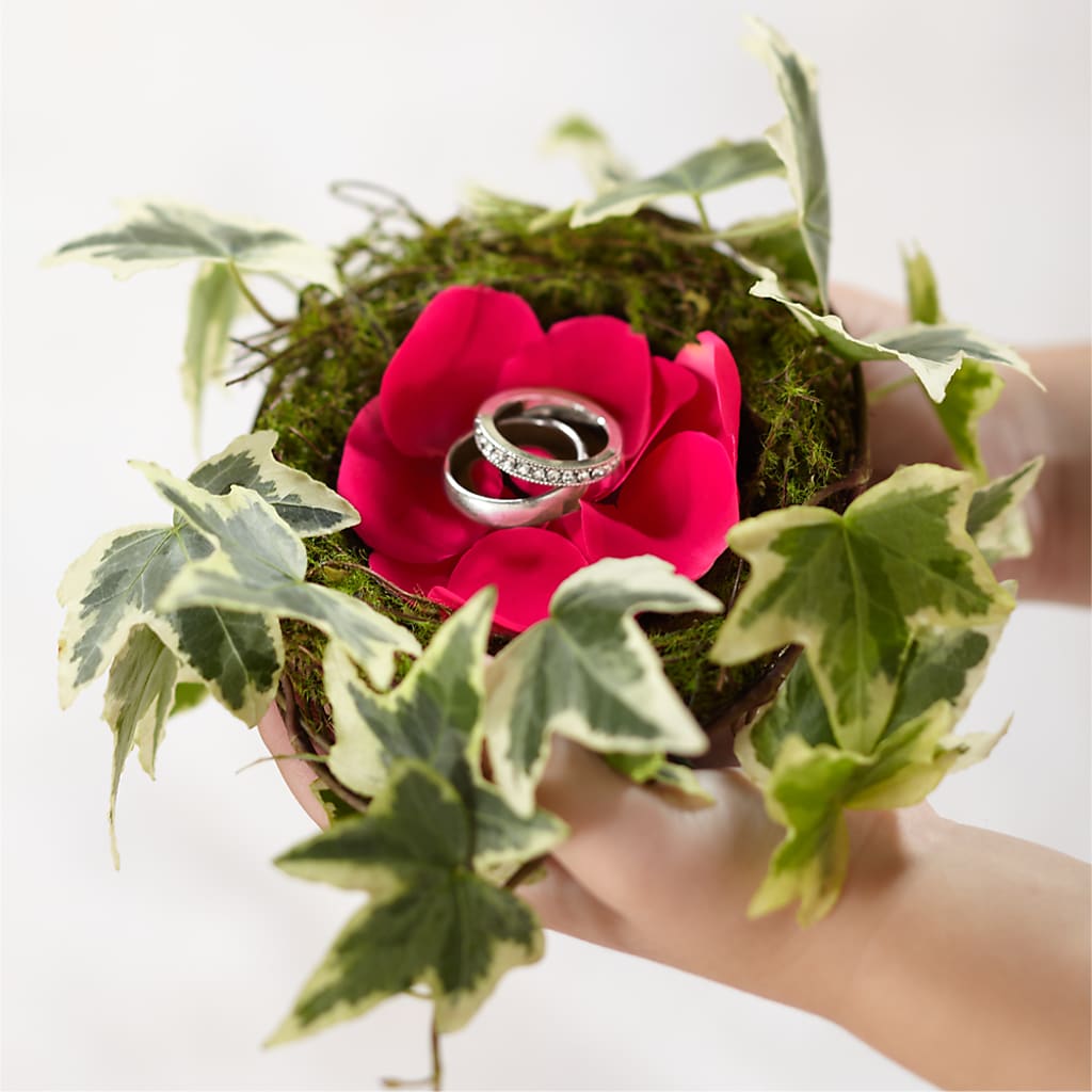 Lila Rose Ring Nest – ENCHANTED FLORIST & GREENHOUSE LTD, Maspeth NY
