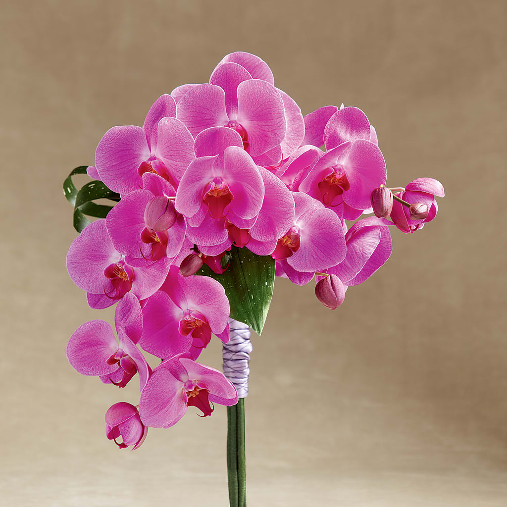 Glorious Bouquet – ENCHANTED FLORIST & GREENHOUSE LTD, Maspeth NY