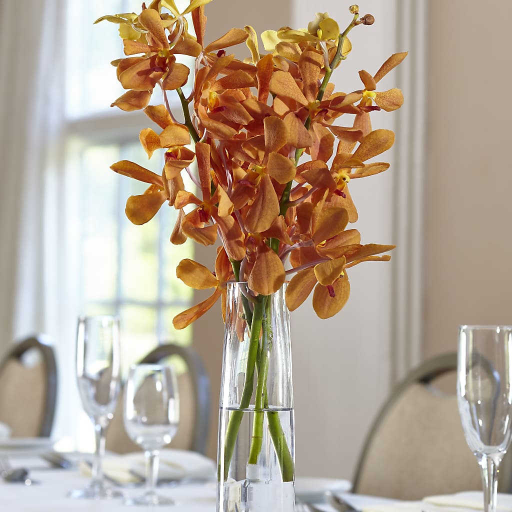 Orange Mokara Bud Vase – ENCHANTED FLORIST & GREENHOUSE LTD, Maspeth NY