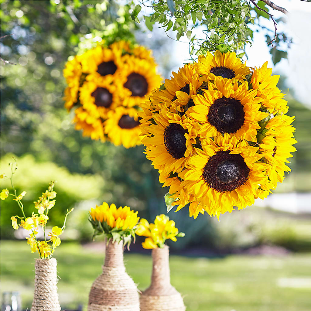 Sublime Garden Hanging Arrangement – ENCHANTED FLORIST & GREENHOUSE LTD, Maspeth NY