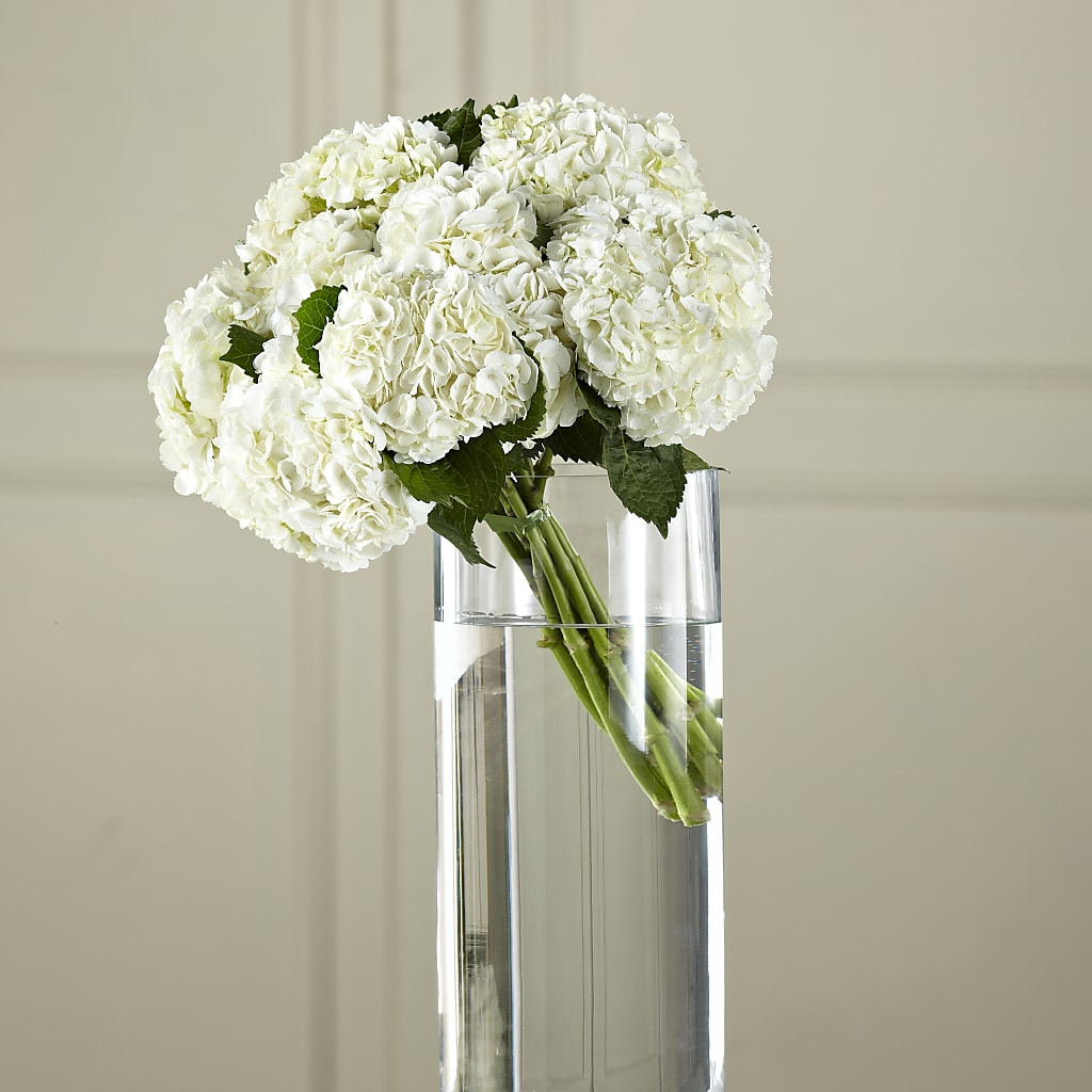 White Hydrangea Hand-Tied Bouquet – ENCHANTED FLORIST & GREENHOUSE LTD, Maspeth NY