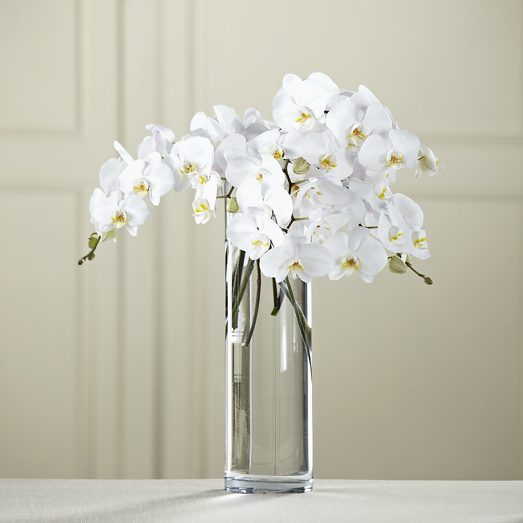 White Phalaenopsis Bouquet – ENCHANTED FLORIST & GREENHOUSE LTD, Maspeth NY