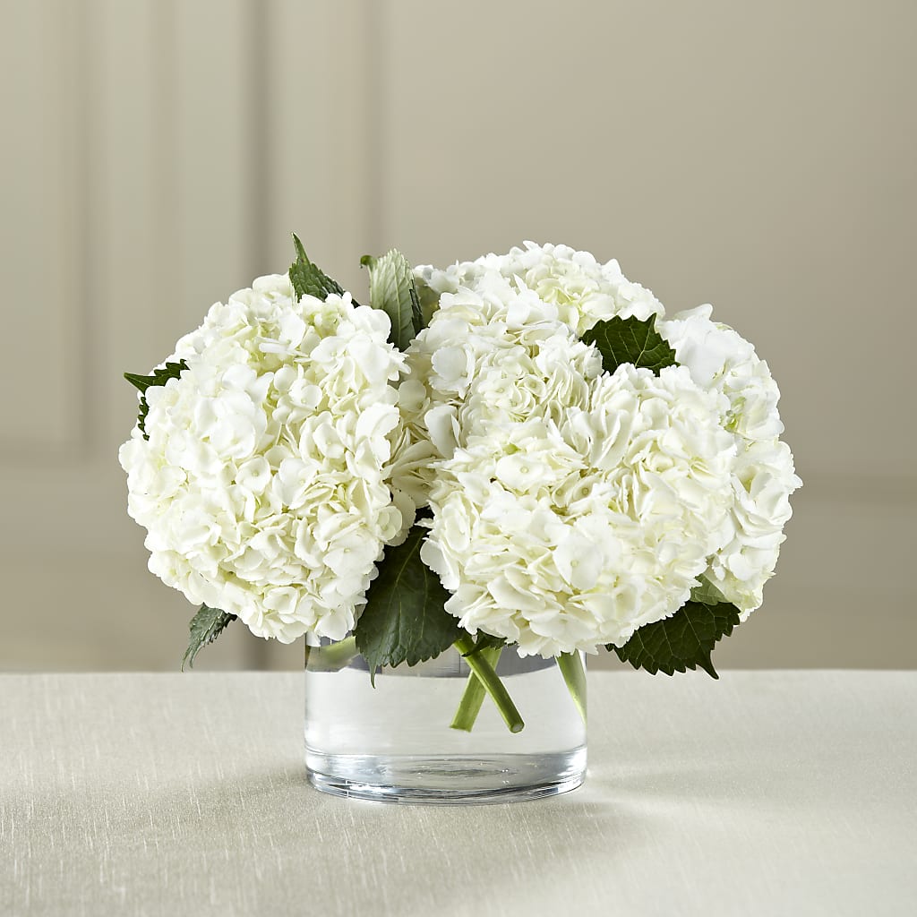 White Hydrangea Bouquet – ENCHANTED FLORIST & GREENHOUSE LTD, Maspeth NY