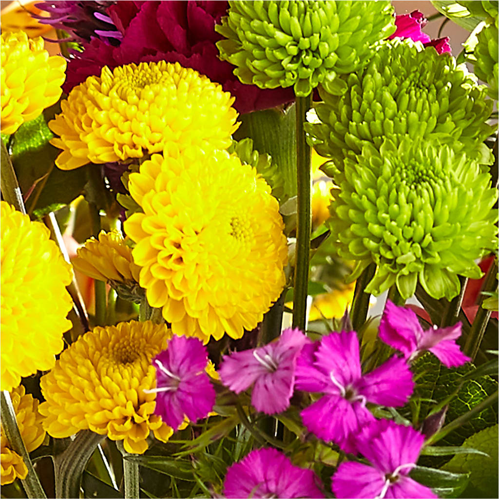 Bold & Bright – A Florist Original – ENCHANTED FLORIST & GREENHOUSE LTD, Maspeth NY