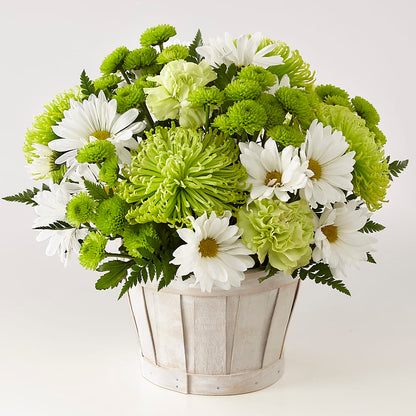 Lucky Charm Basket (Standard) – ENCHANTED FLORIST & GREENHOUSE LTD, Maspeth NY