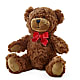 Adorable Plush Bear – ENCHANTED FLORIST & GREENHOUSE LTD, Maspeth NY
