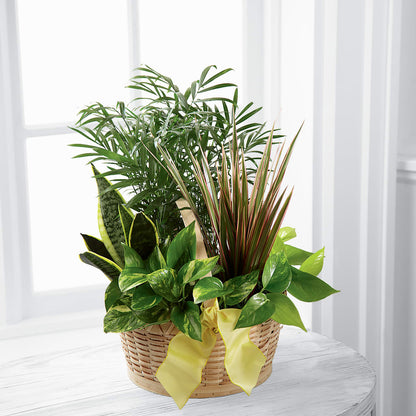 French Garden – ENCHANTED FLORIST & GREENHOUSE LTD, Maspeth NY