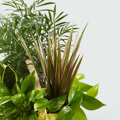 French Garden – ENCHANTED FLORIST & GREENHOUSE LTD, Maspeth NY