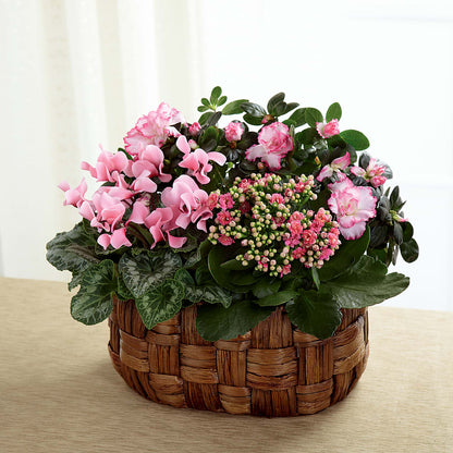 Pink Assortment – ENCHANTED FLORIST & GREENHOUSE LTD, Maspeth NY