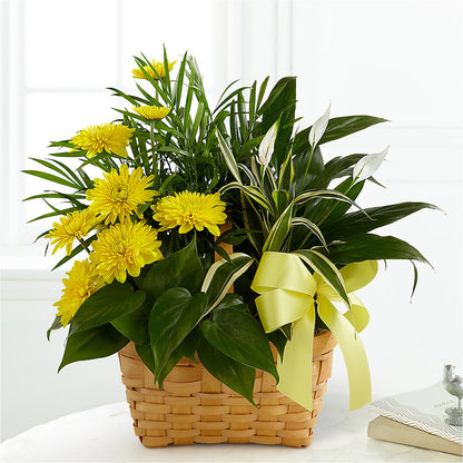 Loving Light Dishgarden – ENCHANTED FLORIST & GREENHOUSE LTD, Maspeth NY