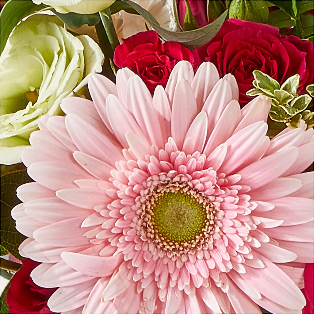 Too Cute Bouquet – ENCHANTED FLORIST & GREENHOUSE LTD, Maspeth NY