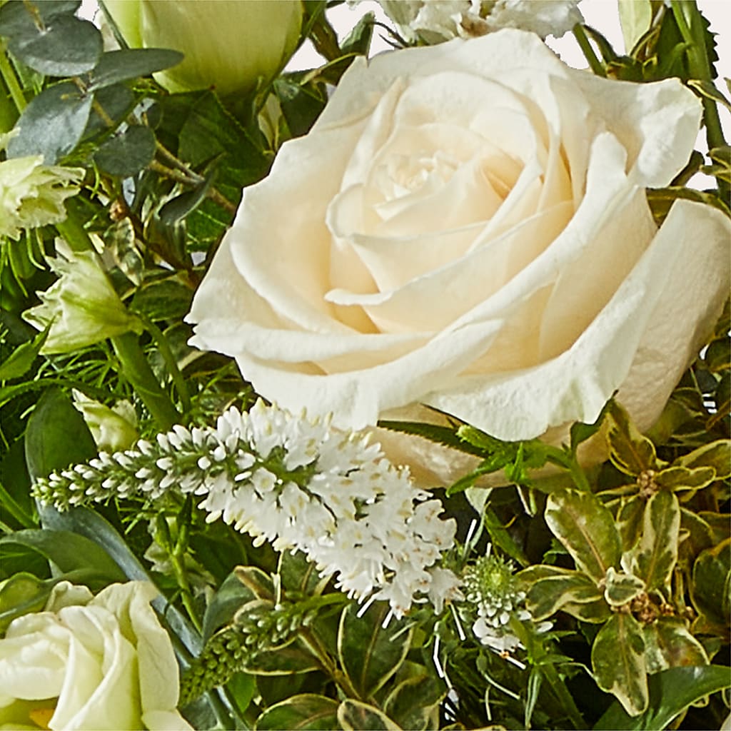 Cashmere Bouquet – ENCHANTED FLORIST & GREENHOUSE LTD, Maspeth NY