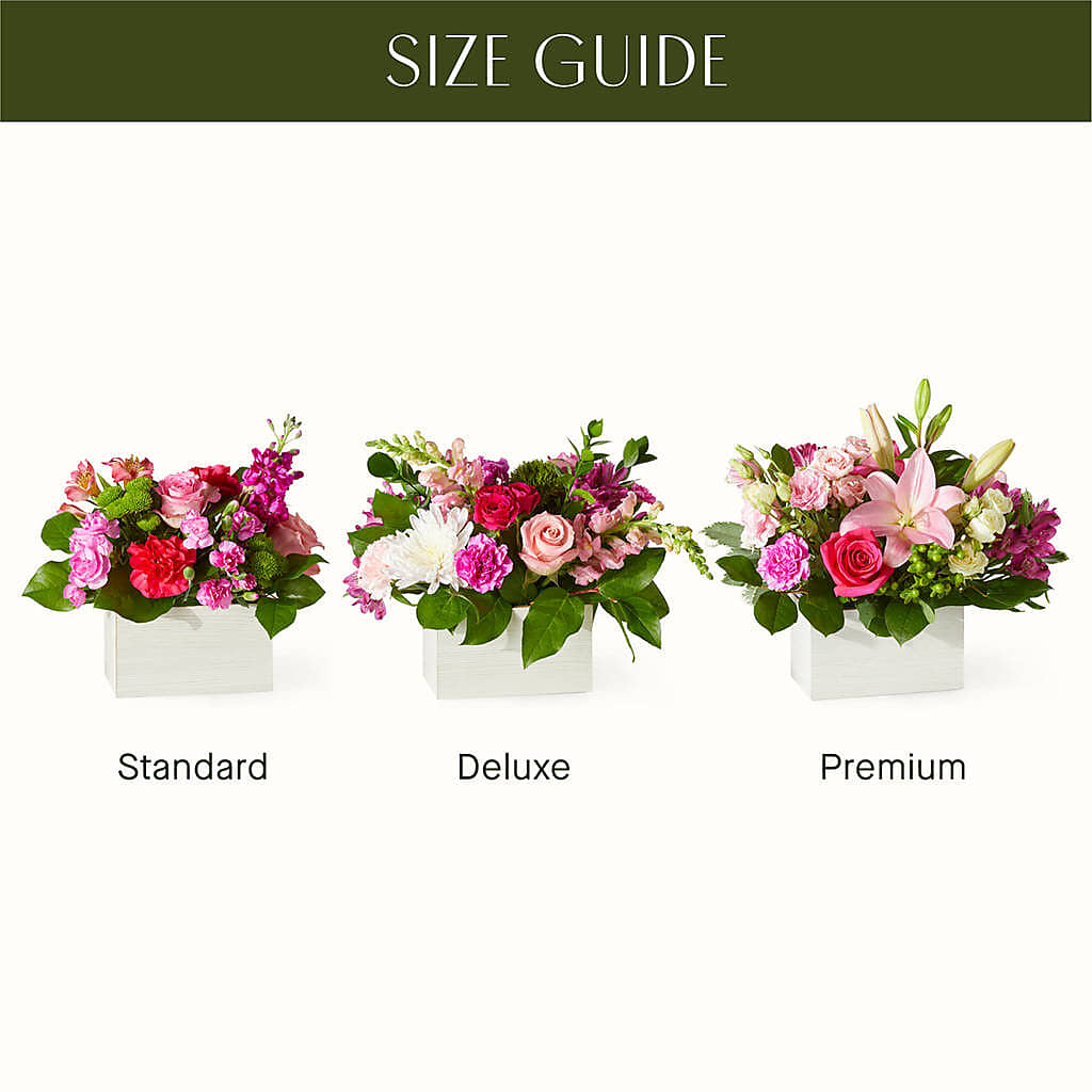 Sweetberry Box – A Florist Original – ENCHANTED FLORIST & GREENHOUSE LTD, Maspeth NY