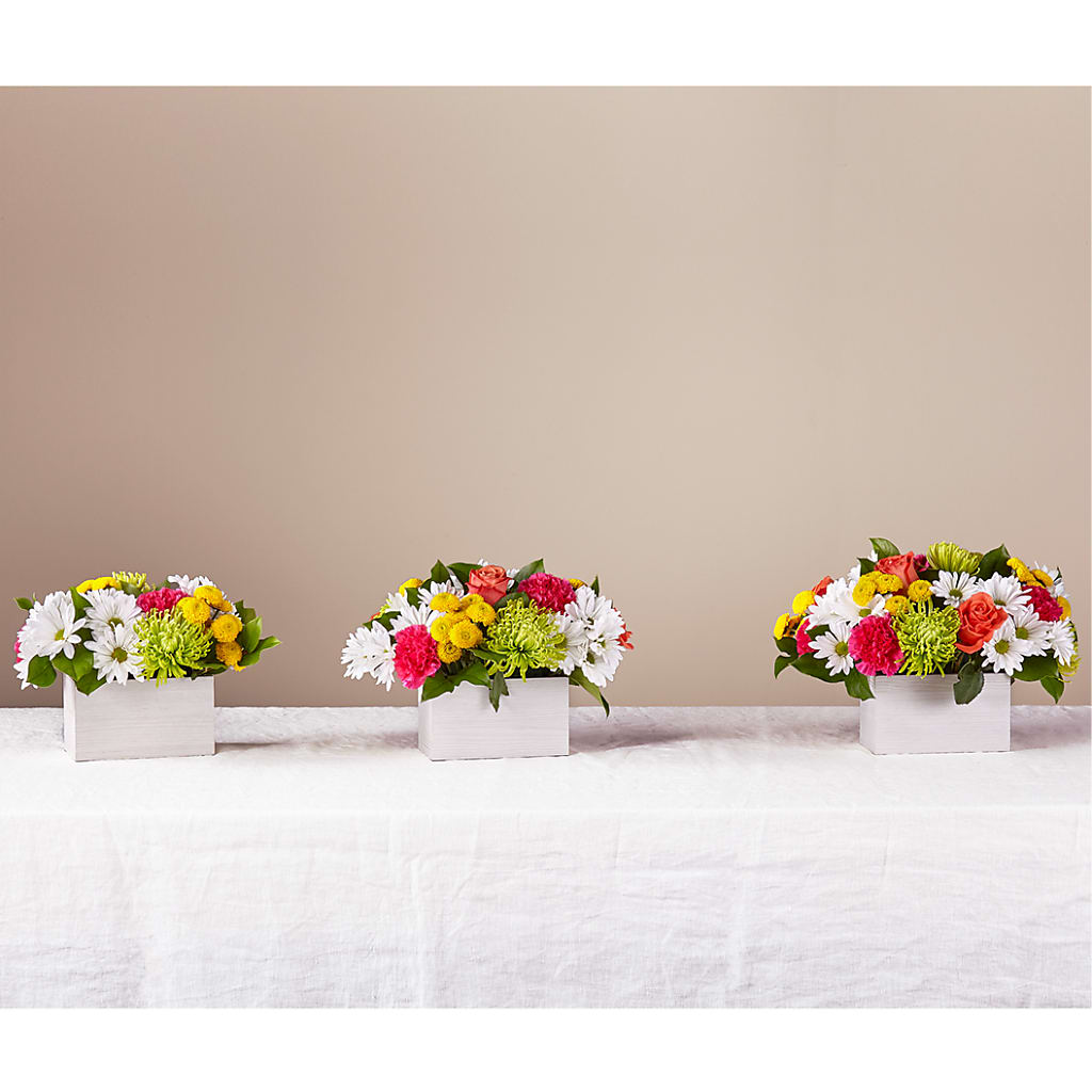 Sorbet Bouquet – ENCHANTED FLORIST & GREENHOUSE LTD, Maspeth NY