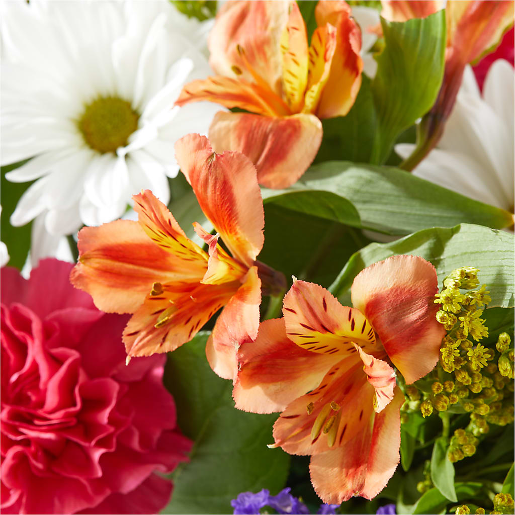 Oopsie Daisy Box Bouquet – ENCHANTED FLORIST & GREENHOUSE LTD, Maspeth NY