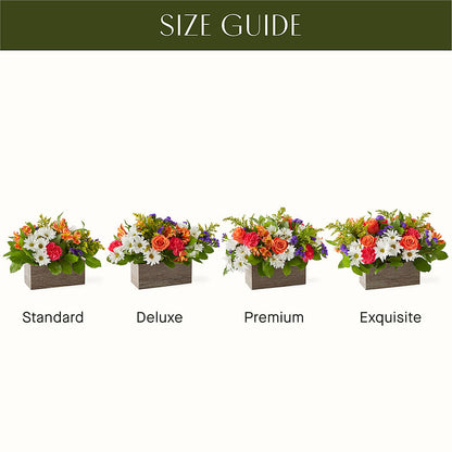 Oopsie Daisy Box Bouquet – ENCHANTED FLORIST & GREENHOUSE LTD, Maspeth NY
