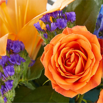 Radiant Citrus Box Bouquet – ENCHANTED FLORIST & GREENHOUSE LTD, Maspeth NY