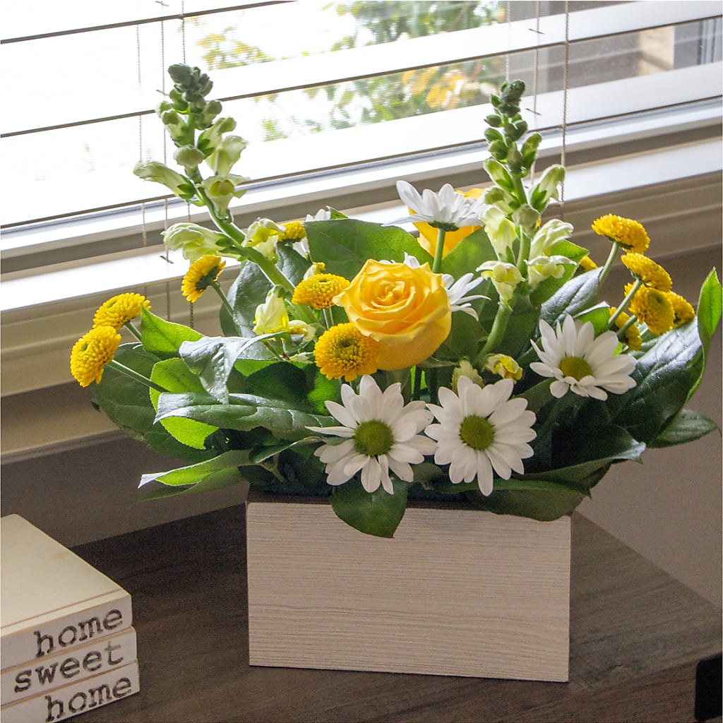 Sun Salutation Box Bouquet – ENCHANTED FLORIST & GREENHOUSE LTD, Maspeth NY