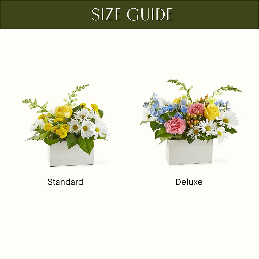 Sun Salutation Box Bouquet – ENCHANTED FLORIST & GREENHOUSE LTD, Maspeth NY