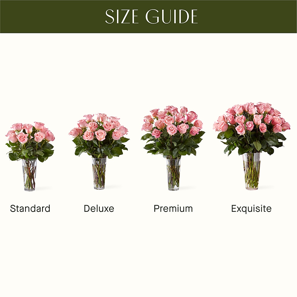 Long Stem Pink Rose Bouquet – ENCHANTED FLORIST & GREENHOUSE LTD, Maspeth NY