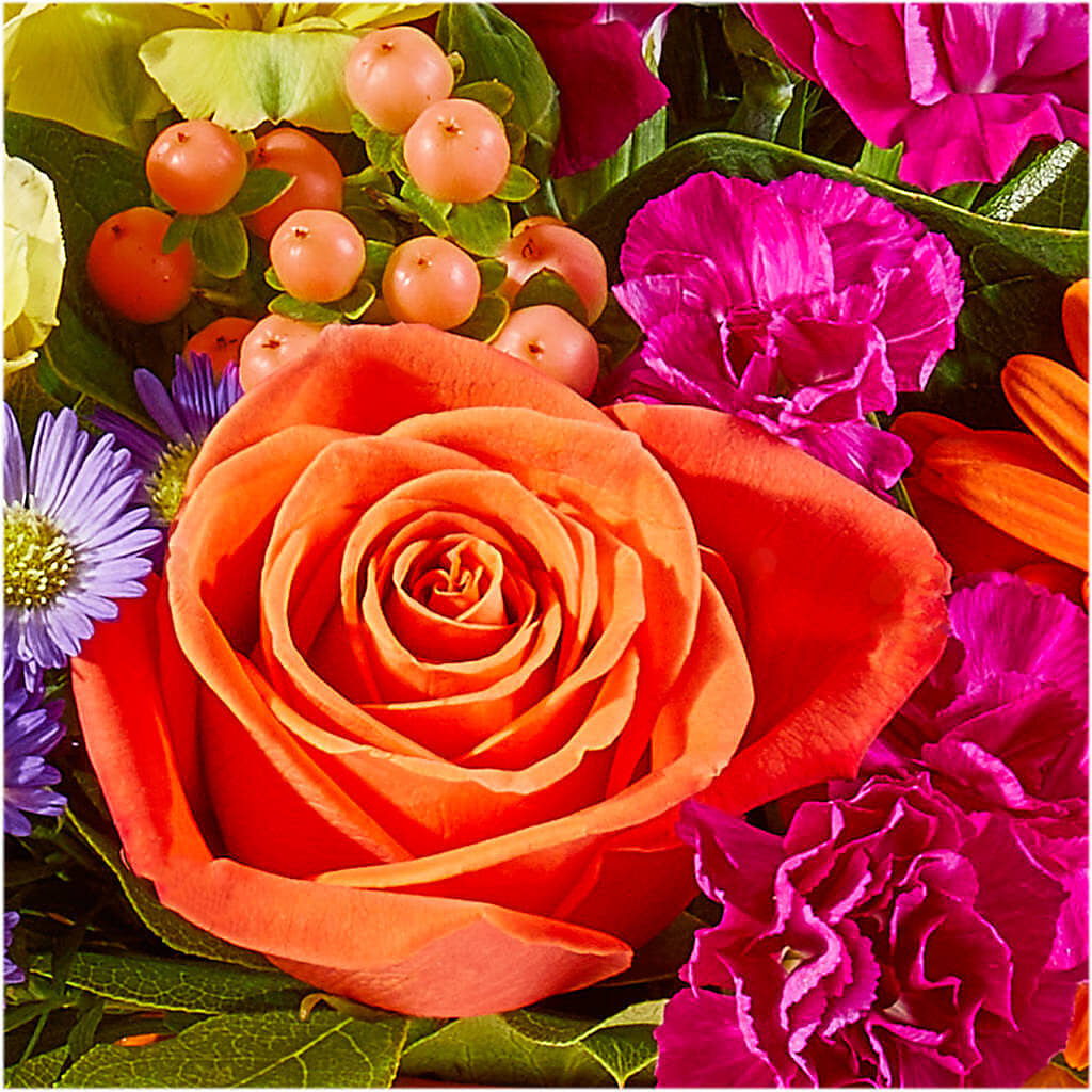 Tricks & Treats Pumpkin – ENCHANTED FLORIST & GREENHOUSE LTD, Maspeth NY