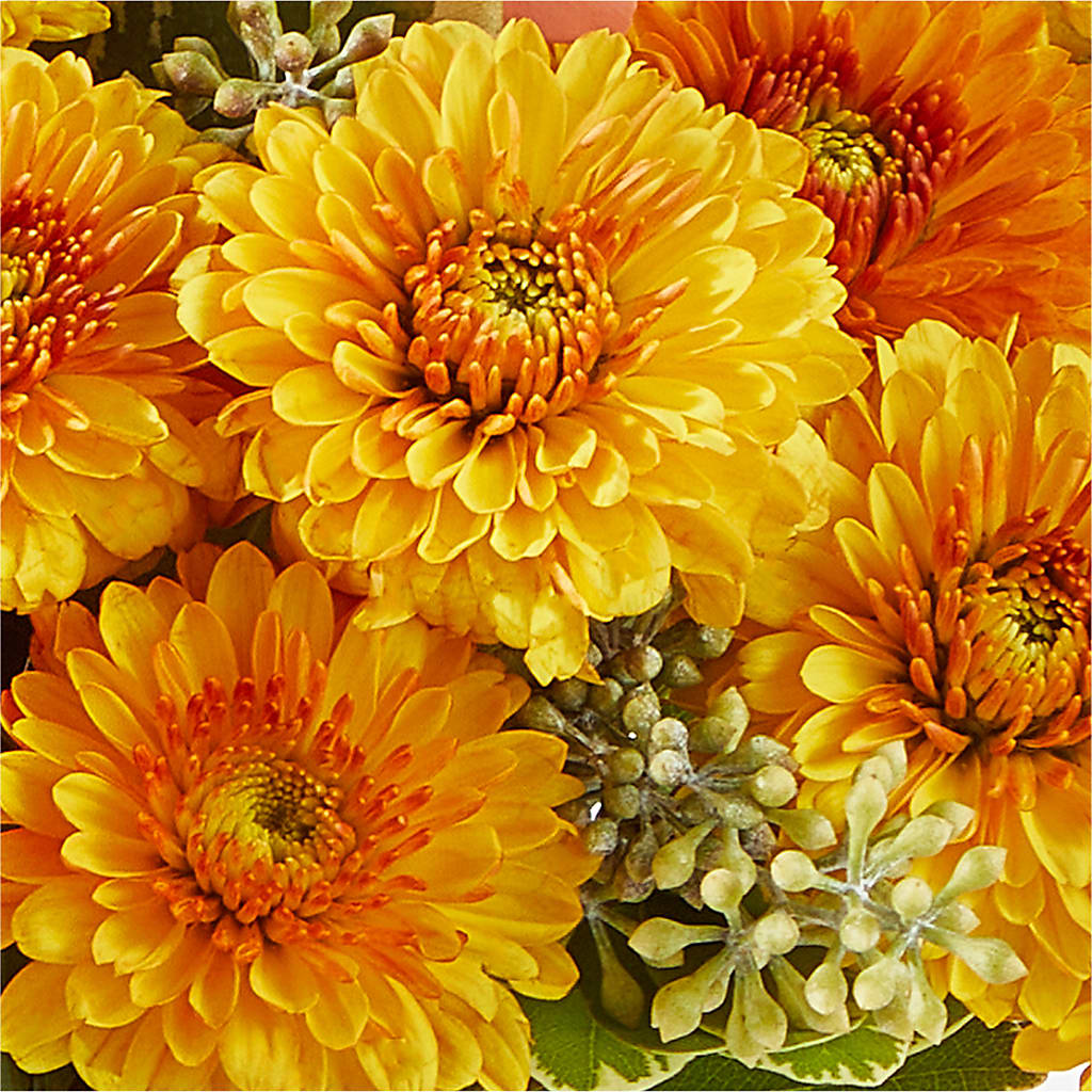 Peachy Pumpkin – ENCHANTED FLORIST & GREENHOUSE LTD, Maspeth NY