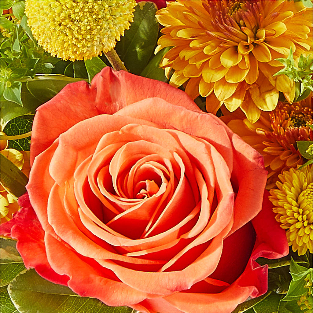 Gourdgeous Pumpkin – ENCHANTED FLORIST & GREENHOUSE LTD, Maspeth NY