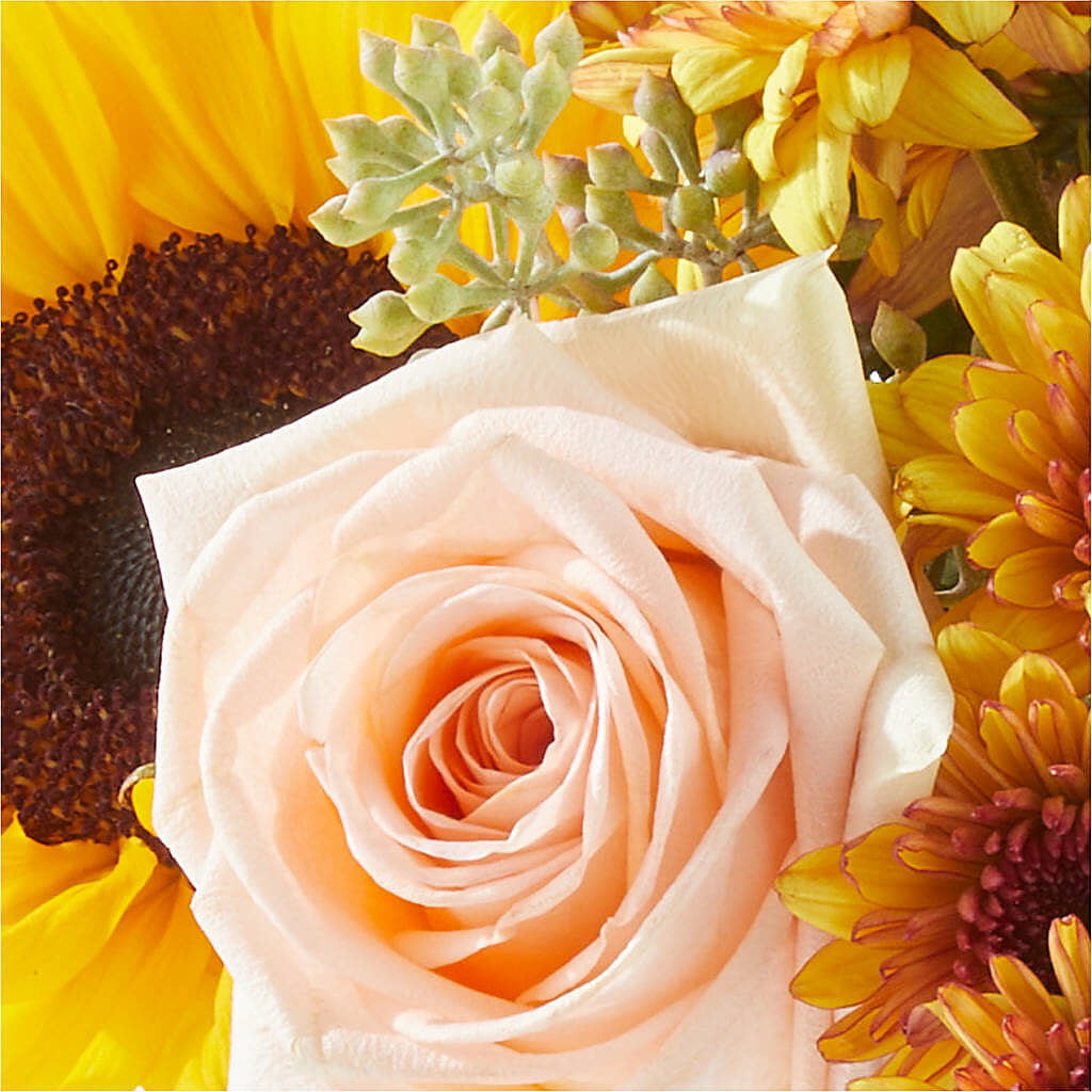 Pumpkin to Talk About Bouquet – ENCHANTED FLORIST & GREENHOUSE LTD, Maspeth NY