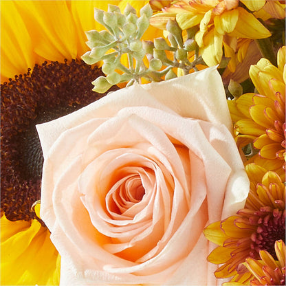 Pumpkin to Talk About Bouquet – ENCHANTED FLORIST & GREENHOUSE LTD, Maspeth NY