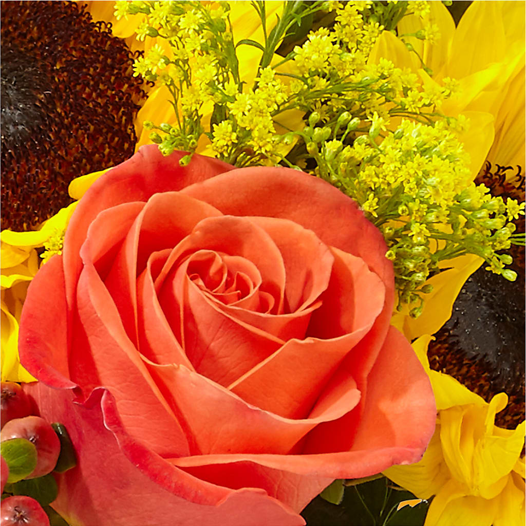Pick of the Patch Pumpkin Bouquet – ENCHANTED FLORIST & GREENHOUSE LTD, Maspeth NY