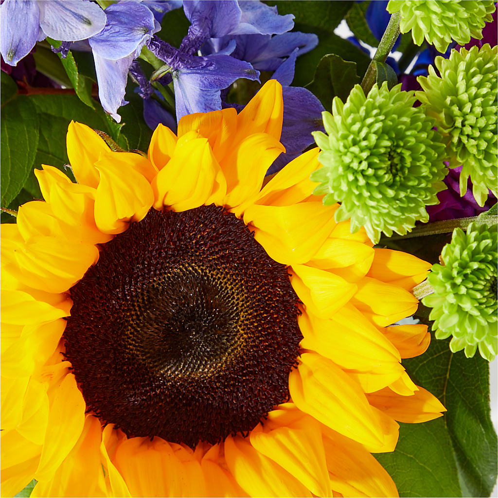 Catching Rays Bouquet – ENCHANTED FLORIST & GREENHOUSE LTD, Maspeth NY