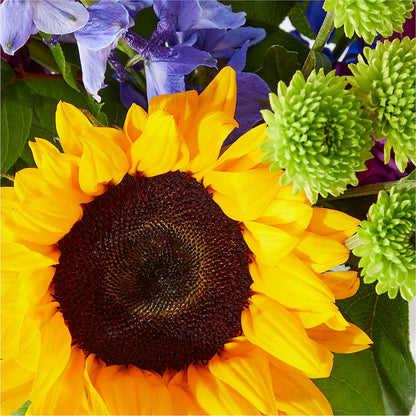 Catching Rays Bouquet – ENCHANTED FLORIST & GREENHOUSE LTD, Maspeth NY