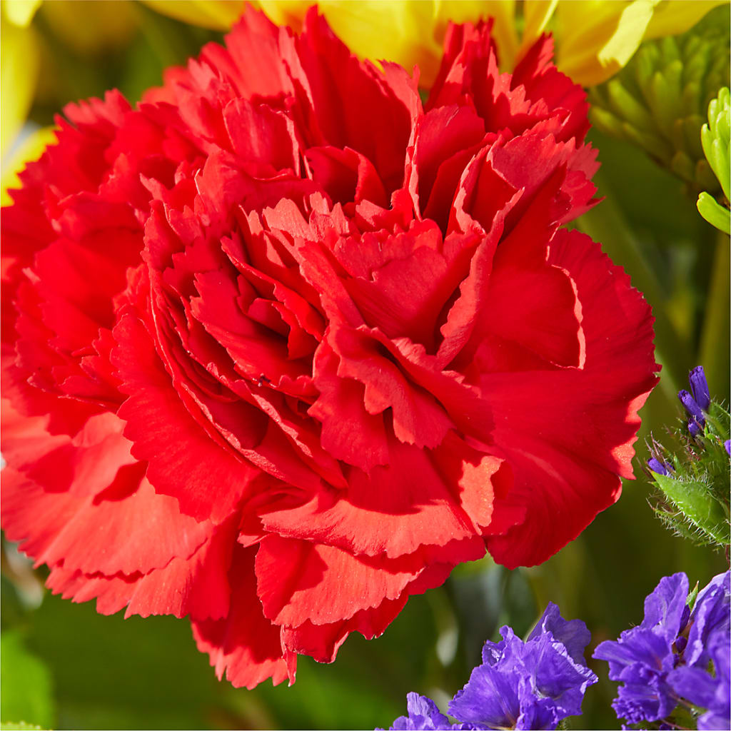Brighter Days Bouquet – ENCHANTED FLORIST & GREENHOUSE LTD, Maspeth NY