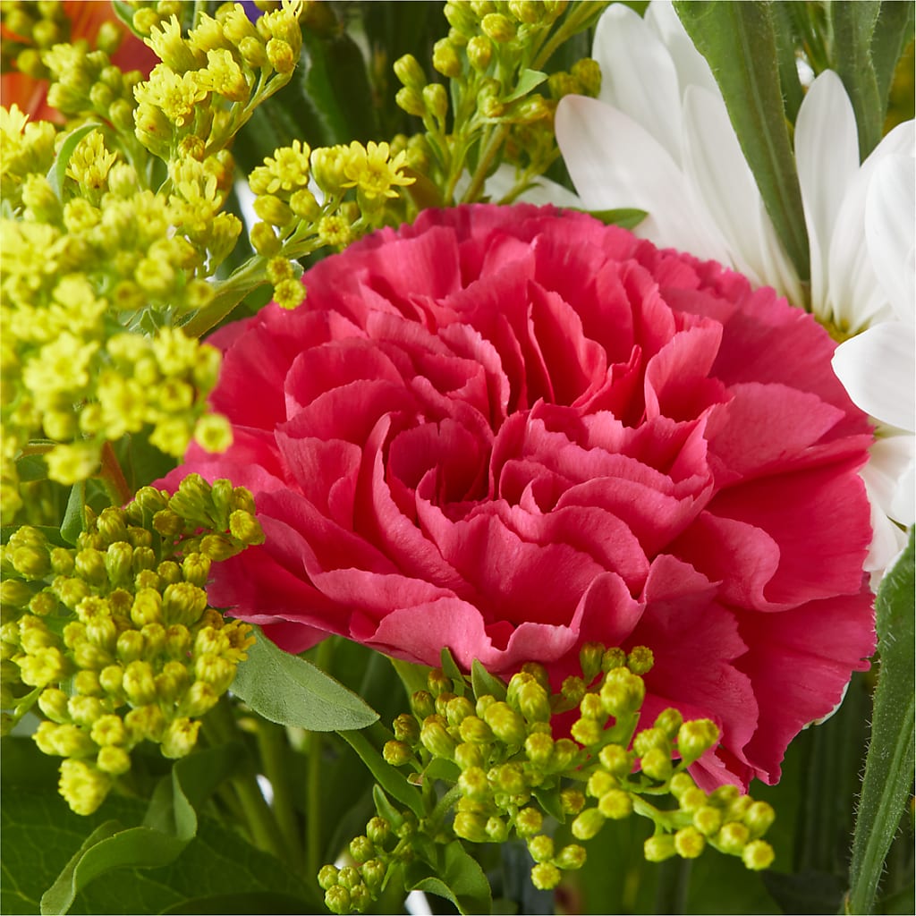 Oopsie Daisy Bouquet – ENCHANTED FLORIST & GREENHOUSE LTD, Maspeth NY