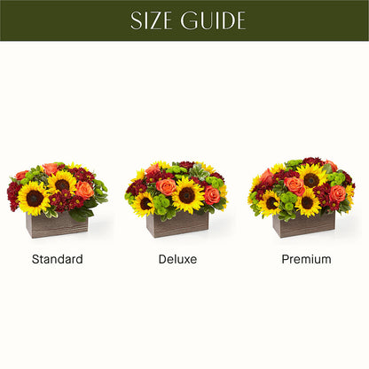 Happy Harvest Garden – ENCHANTED FLORIST & GREENHOUSE LTD, Maspeth NY