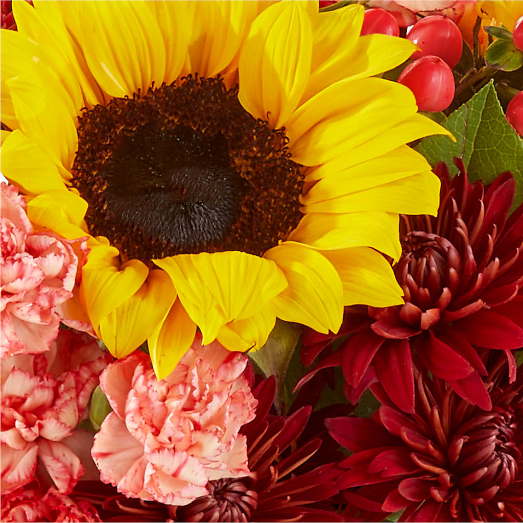 Fresh Cider Bouquet – ENCHANTED FLORIST & GREENHOUSE LTD, Maspeth NY