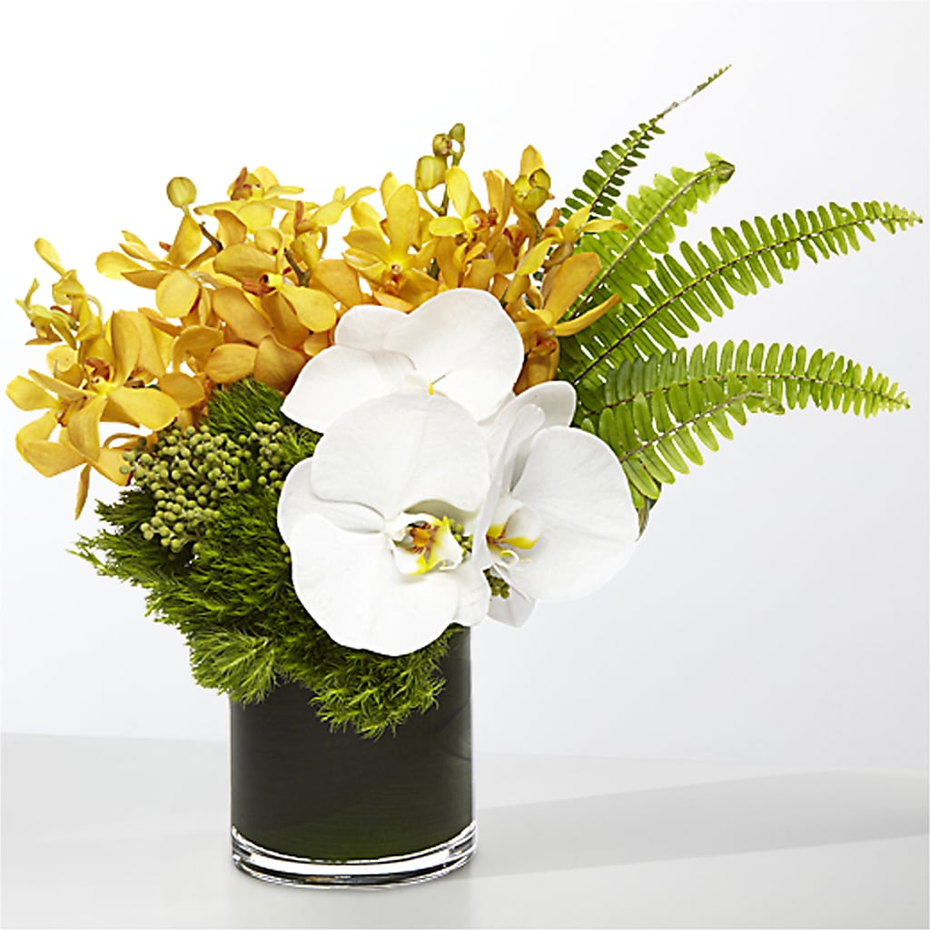The Tropics – ENCHANTED FLORIST & GREENHOUSE LTD, Maspeth NY